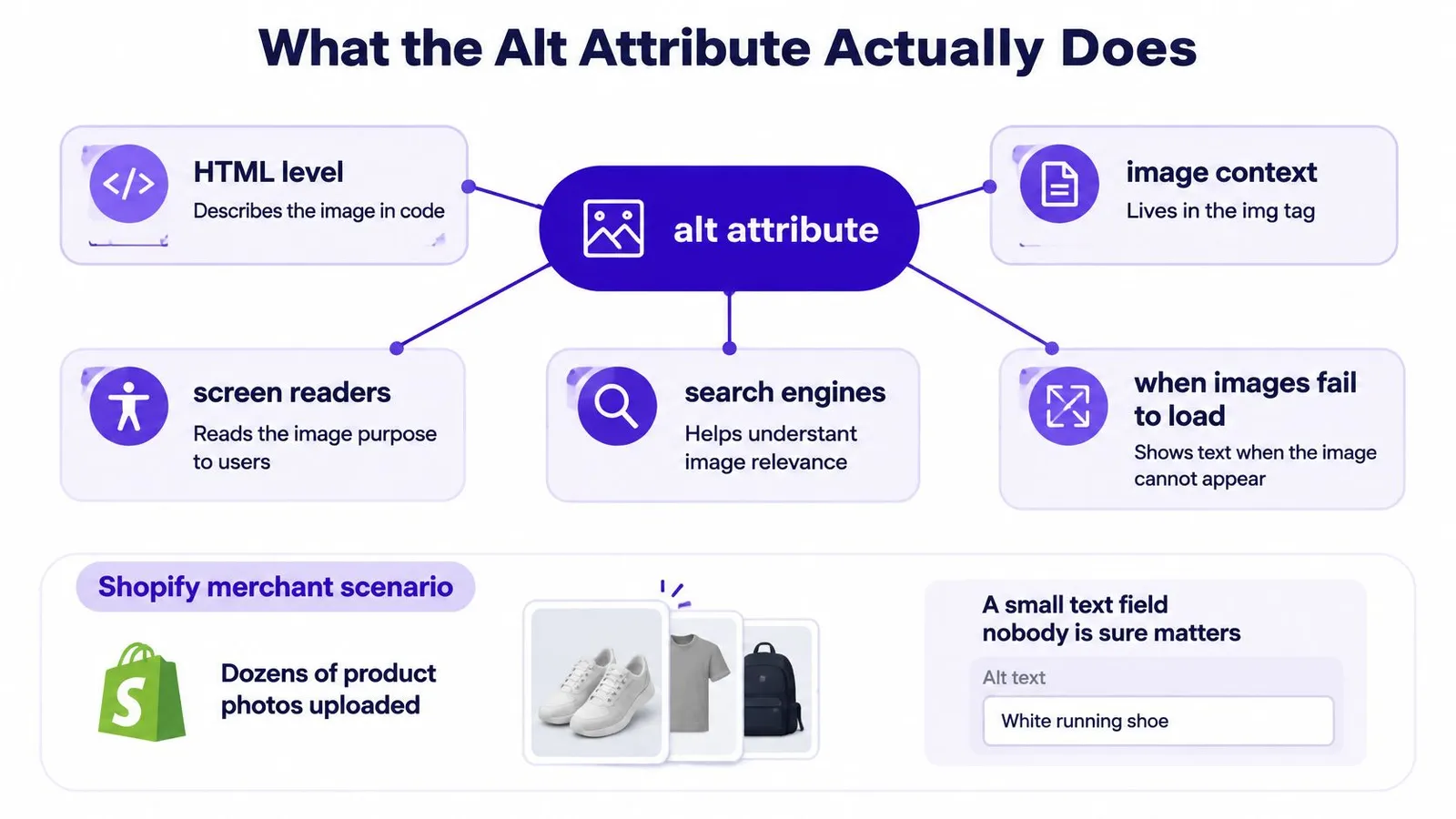 An infographic explaining what the alt attribute is and how it improves web accessibility and search engine optimization.